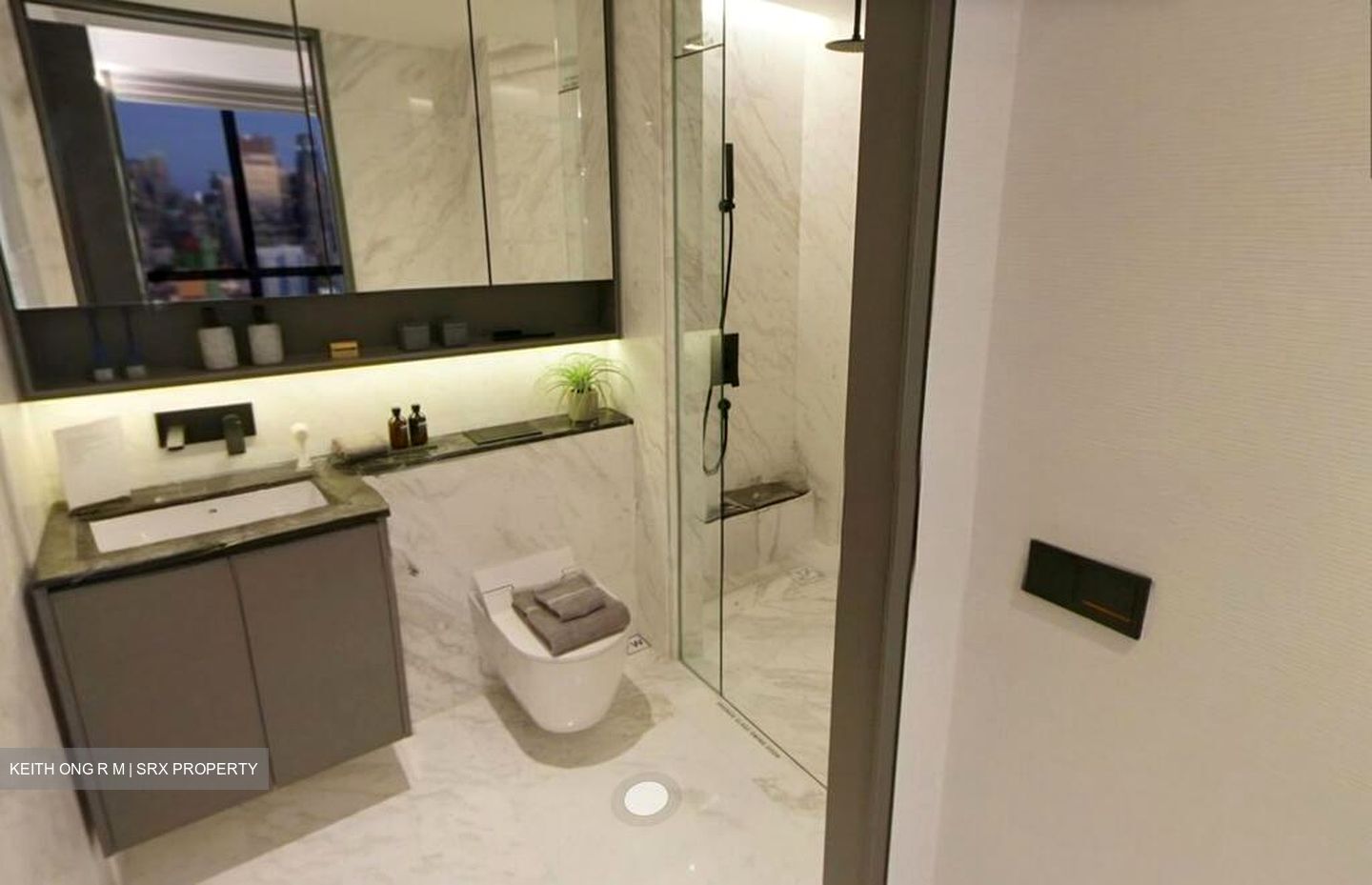 The Landmark (D3), Condominium #496397611